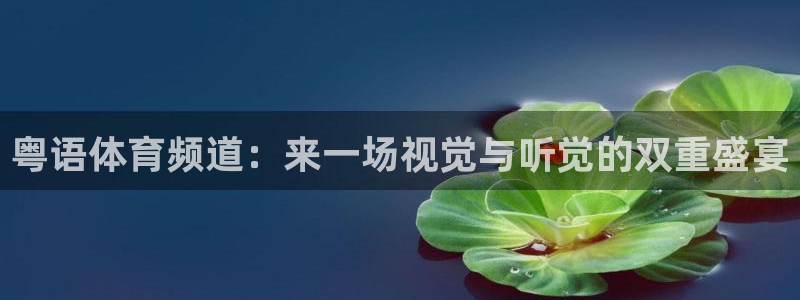 熊猫体育app下载：粤语体育频道：来一场视觉与听觉的双重盛宴