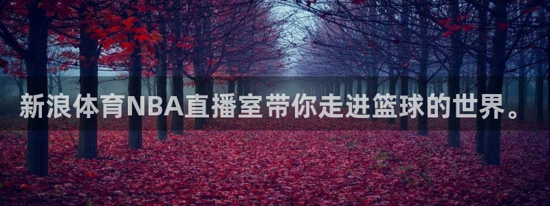 熊猫体育手机版下载：新浪体育NBA直播室带你走进篮球的世界。