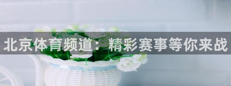 熊猫体育足球直播在线观看：北京体育频道：精彩赛事等你来战