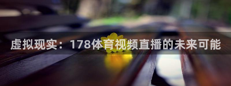 熊猫tv直播：虚拟现实：178体育视频直播的未来可能