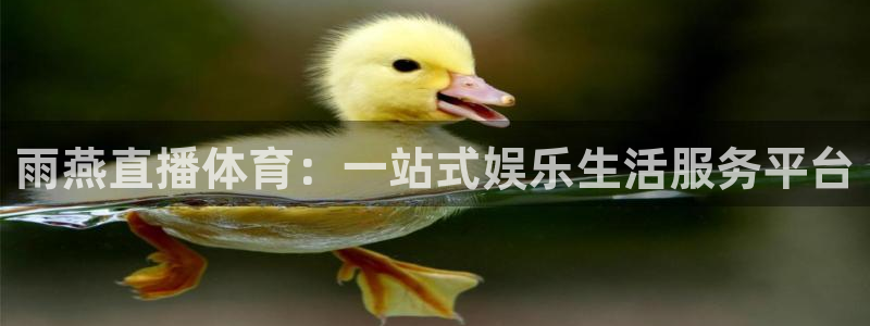 熊猫直播免费观看：雨燕直播体育：一站式娱乐生活服务平台
